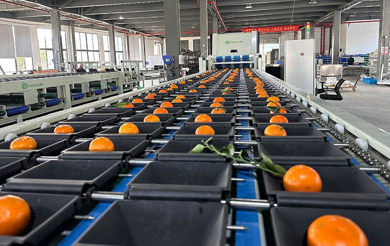 images/1692003194498citrus garding color machine.jpg
